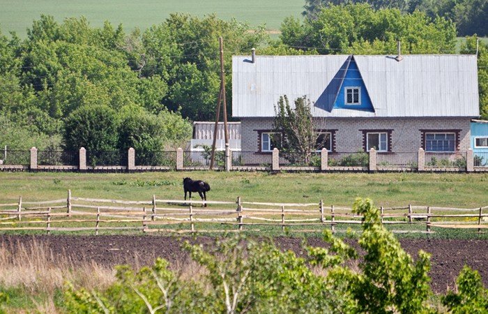 42 алтайских фермера получат гранты на развитие животноводства