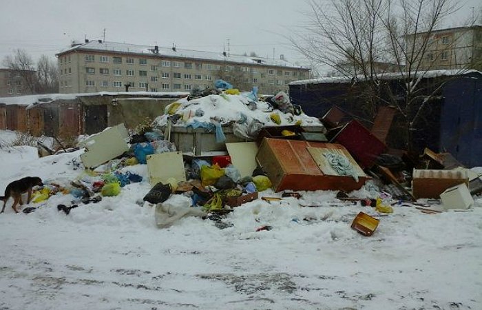 Жители Рубцовска выйдут на пикет против крыс и коммунальщиков