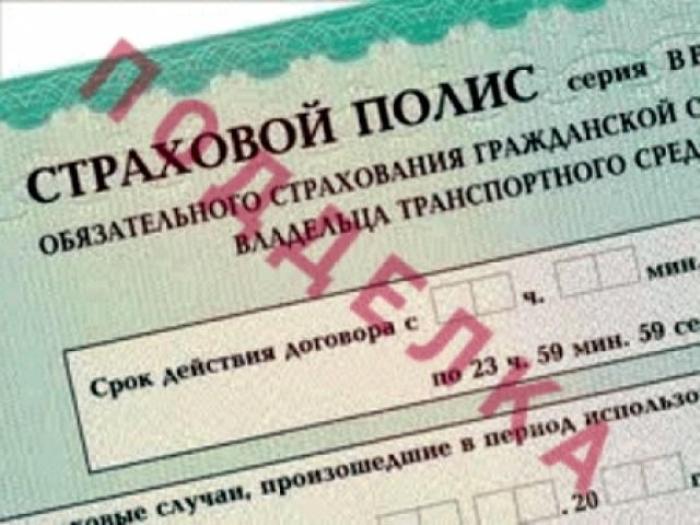 Полисы ОСАГО снабдят QR-кодом