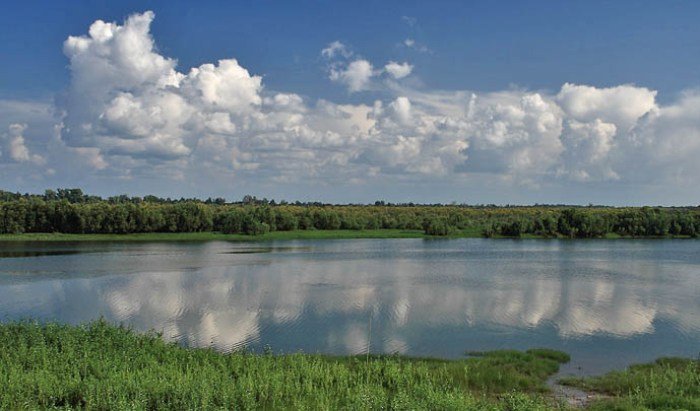 Переброска воды алтайских рек в Китай может привести к изменению климата в Западной Сибири