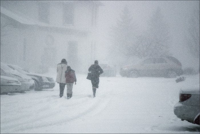 Мощный буран надвигается на Алтайский край