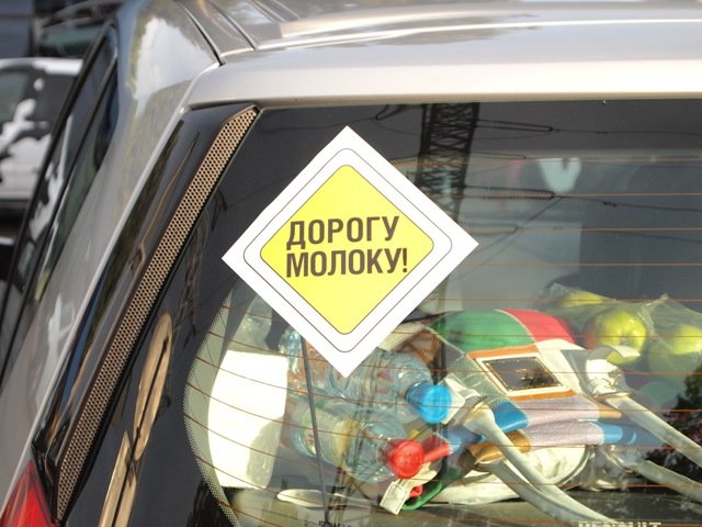 Маршрут "молочного" автопробега пройдет через Алтай