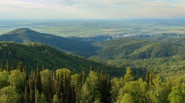 Совфед запретил банкам взимать комиссию за курортный сбор