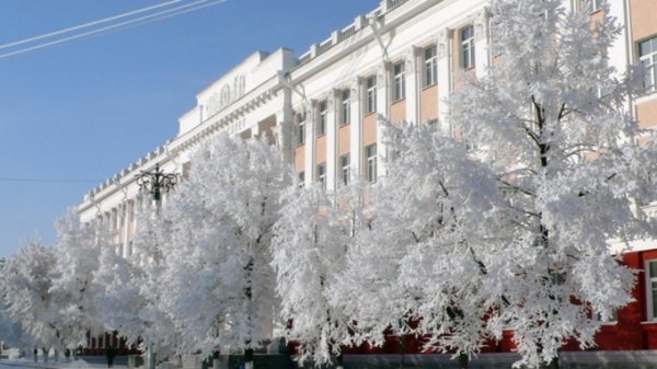 В АлтГУ выбирают лучшие студенческие бизнес-проекты