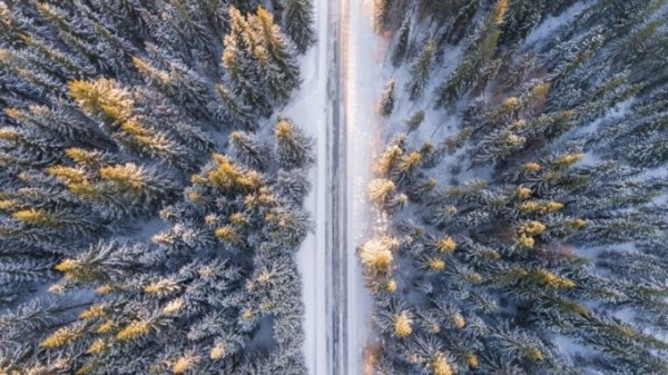 Замело, а теперь заморозит. О погоде в Алтайском крае 30 января