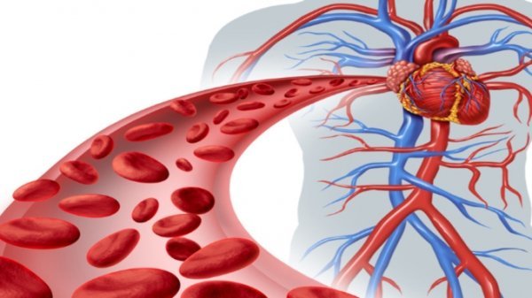 Врачи рассказали о признаках плохого кровообращения в организме