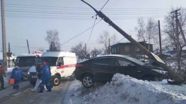 Бийчанин мог сбить собаку, но выбрал въехать электроопору