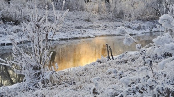 Филиппов день. Как 22 января понять, что скоро начнется оттепель