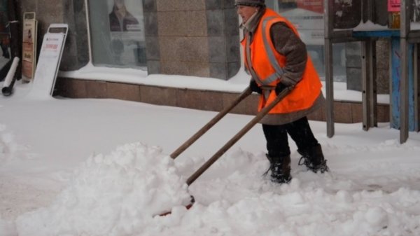 88 рублей в час: жителей Барнаула зазывают подрабатывать на выходных дворниками