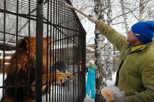 Барнаульцы попали на звериный обед в зоопарк