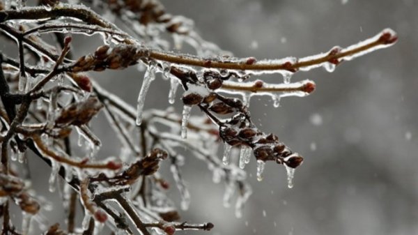 Вы думали, это весна? А это оттепель. О погоде в Алтайском крае 11 февраля