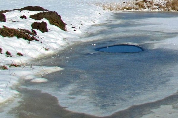 Водолазы не нашли пропавших рыбаков из Барнаула