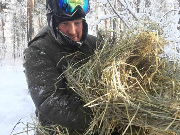 Запасы на месяц: еще 50 лесных "столовых" обустроили на Алтае