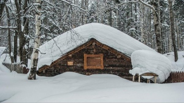 Отклонение до 15 градусов. В Сибири ждут новый температурный рекорд