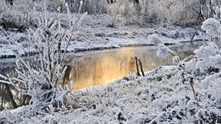 Сретение Господне: что это за праздник и как его принято отмечать