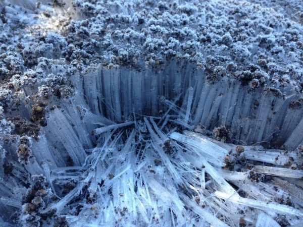 Фото, которые заставят ваш мозг напрячься