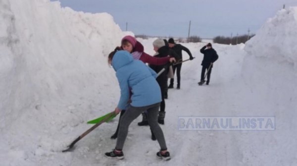 Дети расчищали дорогу для школьного автобуса в алтайском селе