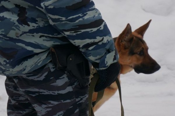 В Алтайском крае задержали бизнесменов за незаконное обналичивание денег