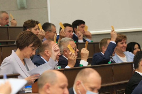 Депутаты покритиковали, но приняли стратегию развития Алтайского края до 2035 года