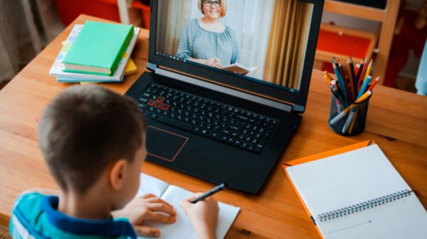 Урок в соседней комнате: что думают барнаульские родители об онлайн-образовании