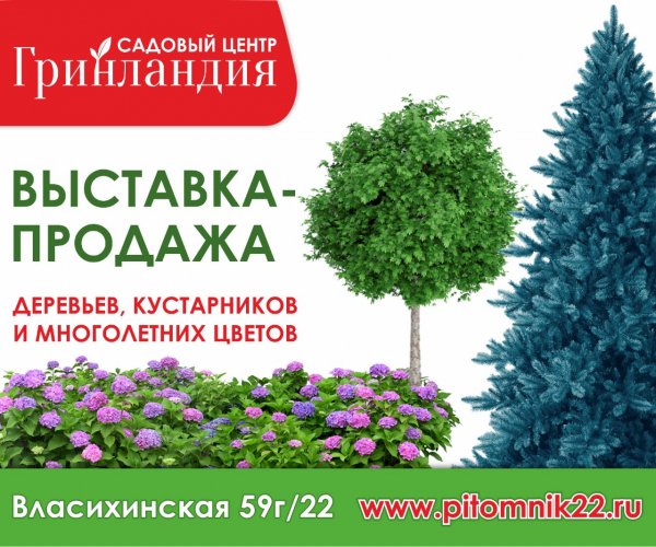 Социальная энергия Овна достигнет пика, а сила Девы – в близких людях. Гороскоп на 12 сентября