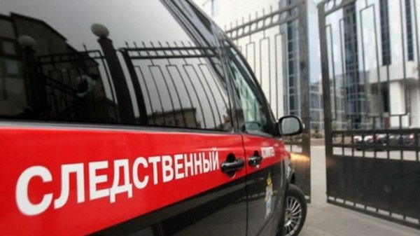 Жительницу Алтайского края будут судить за истязание взятых под опеку детей