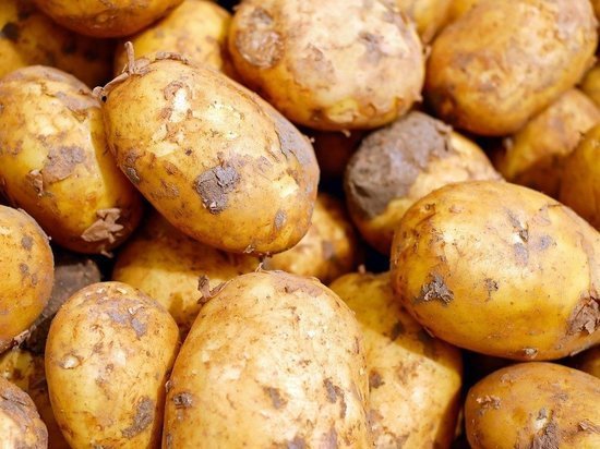 Цены на картофель увеличились вдвое в Алтайском крае