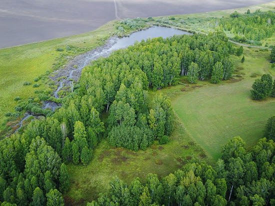 Четыре новых памятника природы созданы в Алтайском крае