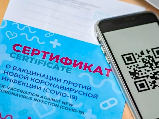 Систему QR-кодов в Алтайском крае планируют ввести в начале ноября