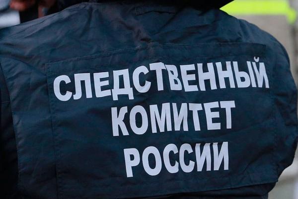 В Барнауле в лесополосе найден мертвым инспектор ДПС - KP.Ru