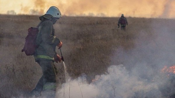 Крупный природный пожар почти "дотянулся" до села в Алтайском крае