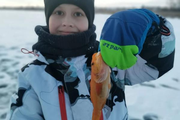 На Алтае 9-летний мальчик поймал «золотую рыбку» - KP.Ru