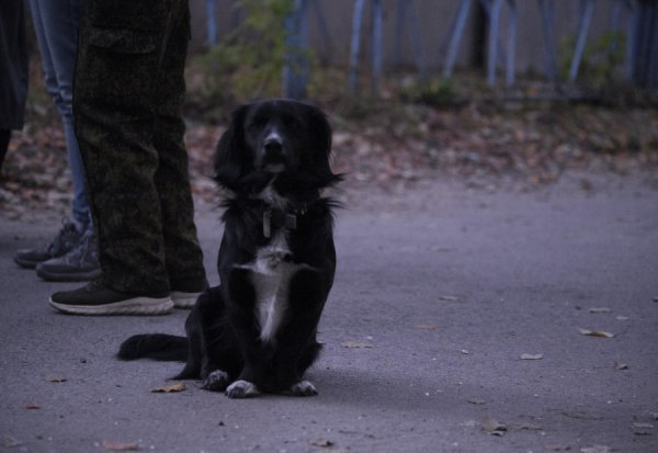 «Один из нас уже умер». Что происходит в приговоренном доме Барнаула после участия его жильцов в московском телешоу