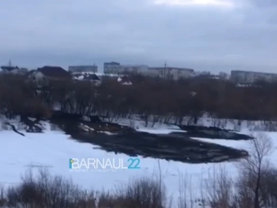 Барнаульцы пожаловались на залитое фекалиями городское озеро