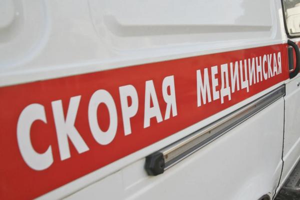 Запертую в погребе женщину спасли в Алтайском крае - KP.Ru