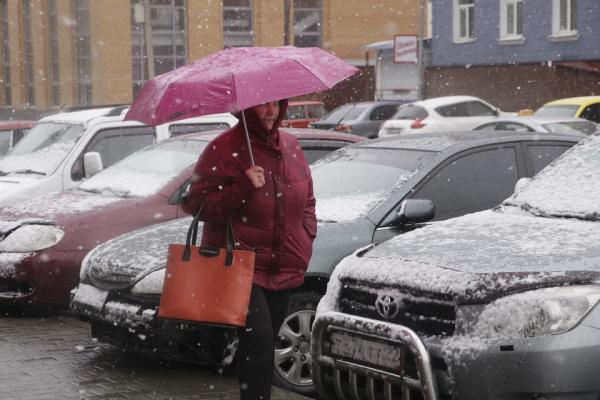 Какой будет погода в начале марта в Алтайском крае - KP.Ru