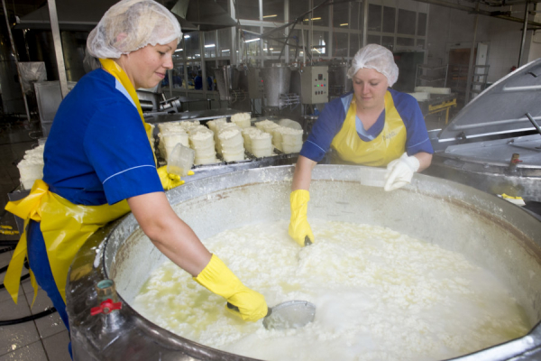 «Мы совсем не жируем»: алтайские сыроделы объяснили рост цен на свою продукцию