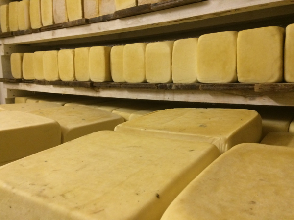 «Мы совсем не жируем»: алтайские сыроделы объяснили рост цен на свою продукцию
