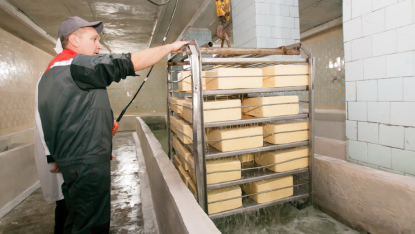 Цена на алтайский сыр преодолела психологический рубеж и рванула вверх
