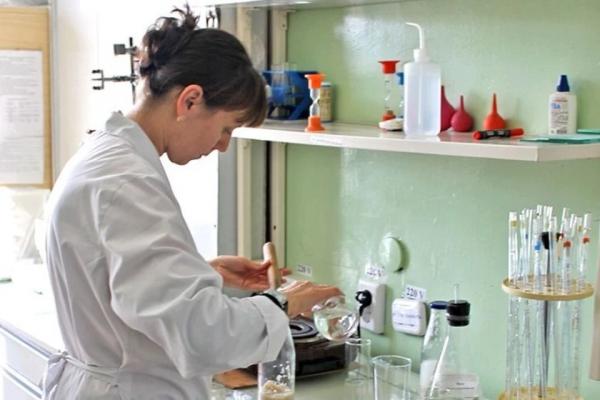 Алтайские ученые разработали технологию производства нового безалкогольного напитка - KP.Ru