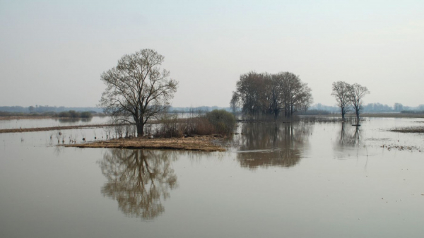 И огонь, и вода. Глава МЧС в Алтайском крае рассказал, ждут ли регион весенние напасти