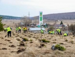 На родине Роберта Рождественского высадили три тысячи деревьев