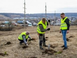 На родине Роберта Рождественского высадили три тысячи деревьев