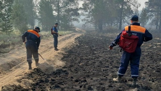 Порядка 350 человек и 118 единиц техники ликвидируют лесные пожары в Алтайском крае