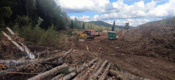 На Алтае золотодобытчики незаконно вырубили лес на площади 60 гектаров