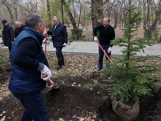 Виктор Томенко высадил деревья в барнаульском парке «Изумрудный»