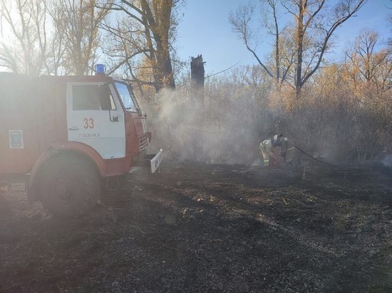 Пожароопасный сезон завершен в Алтайском крае