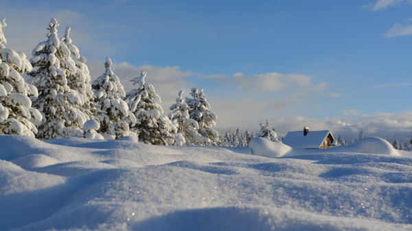Скоро праздники. Какая погода будет на Алтае под Новый год и в первые дни января