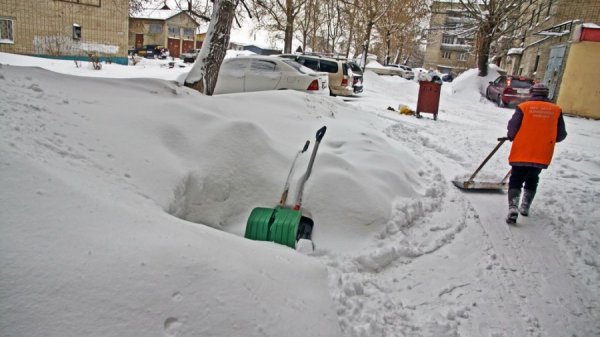 Жительница Алтая в новогодние каникулы отапливала пустующую квартиру соседа, ушедшего на СВО