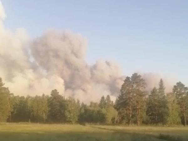 Пожар в Михайловском лесничестве локализовали на площади 2,5 га